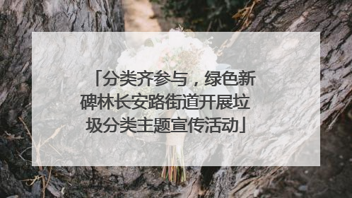 分类齐参与，绿色新碑林长安路街道开展垃圾分类主题宣传活动