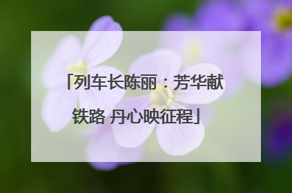 列车长陈丽：芳华献铁路 丹心映征程