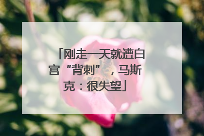 刚走一天就遭白宫“背刺”，马斯克：很失望