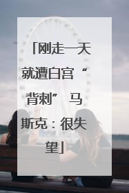 刚走一天就遭白宫“背刺” 马斯克：很失望