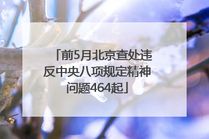 前5月北京查处违反中央八项规定精神问题464起