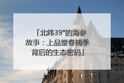 北纬39°的海参故事：上品堂春捕季背后的生态密码