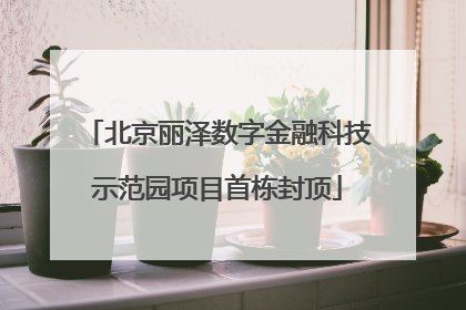 北京丽泽数字金融科技示范园项目首栋封顶