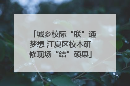 城乡校际“联”通梦想 江夏区校本研修现场“结”硕果