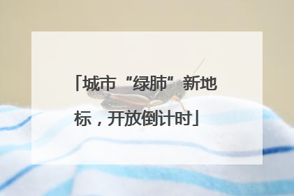 城市“绿肺”新地标，开放倒计时