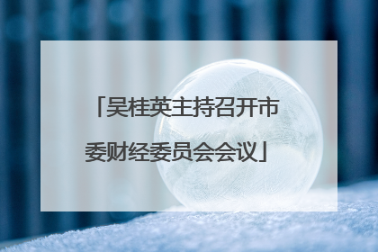 吴桂英主持召开市委财经委员会会议