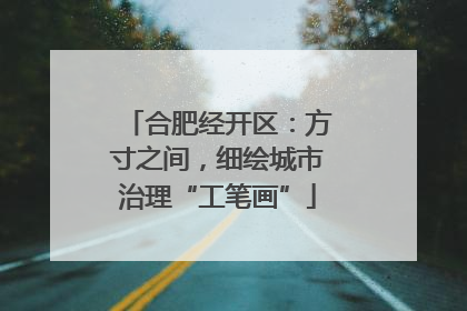 合肥经开区：方寸之间，细绘城市治理“工笔画”