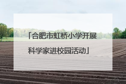 合肥市虹桥小学开展科学家进校园活动