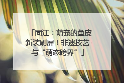 同江：萌宠的鱼皮新装刷屏！非遗技艺与“萌态跨界”