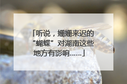 听说，姗姗来迟的“蝴蝶”对湖南这些地方有影响……