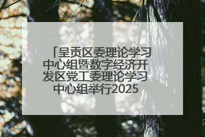 呈贡区委理论学习中心组暨数字经济开发区党工委理论学习中心组举行2025年第七次学习会议