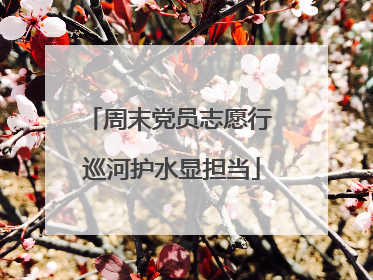 周末党员志愿行 巡河护水显担当