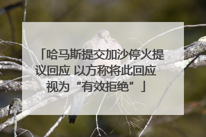 哈马斯提交加沙停火提议回应 以方称将此回应视为“有效拒绝”