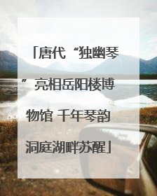 唐代“独幽琴”亮相岳阳楼博物馆 千年琴韵洞庭湖畔苏醒