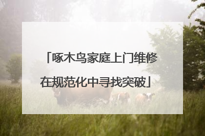 啄木鸟家庭上门维修在规范化中寻找突破