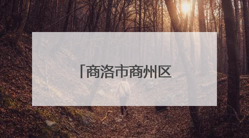 商洛市商州区：建强党支部 赋能新业态