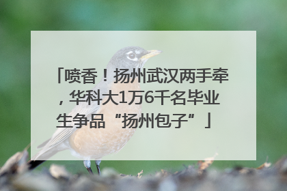 喷香！扬州武汉两手牵，华科大1万6千名毕业生争品“扬州包子”