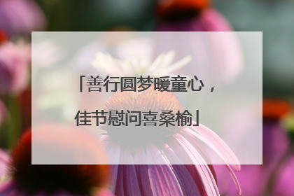 善行圆梦暖童心，佳节慰问喜桑榆