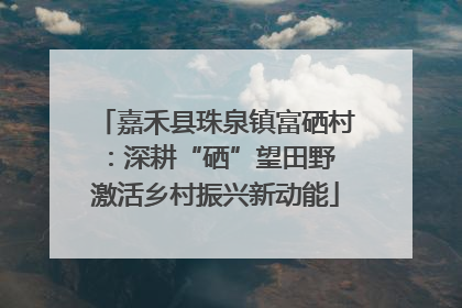 嘉禾县珠泉镇富硒村：深耕“硒”望田野 激活乡村振兴新动能