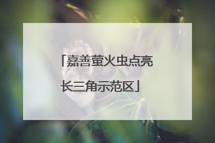 嘉善萤火虫点亮长三角示范区