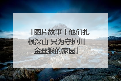 图片故事丨他们扎根深山 只为守护川金丝猴的家园