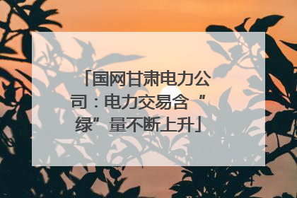 国网甘肃电力公司：电力交易含“绿”量不断上升