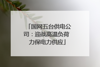 国网五台供电公司：迎战高温负荷 力保电力供应