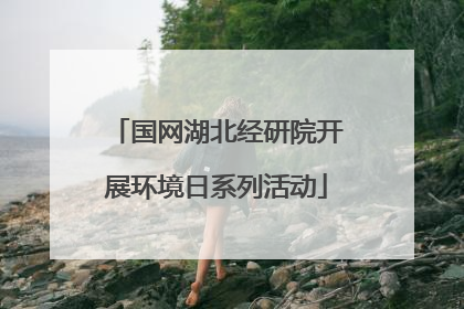 国网湖北经研院开展环境日系列活动