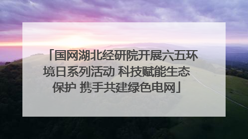 国网湖北经研院开展六五环境日系列活动 科技赋能生态保护 携手共建绿色电网