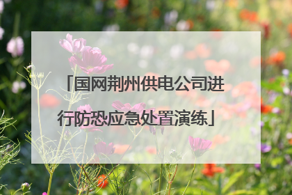 国网荆州供电公司进行防恐应急处置演练
