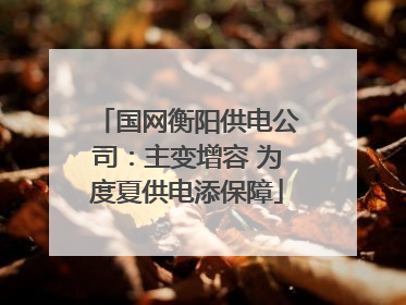 国网衡阳供电公司：主变增容 为度夏供电添保障