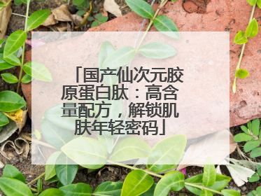 国产仙次元胶原蛋白肽：高含量配方，解锁肌肤年轻密码