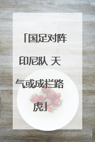 国足对阵印尼队 天气或成拦路虎