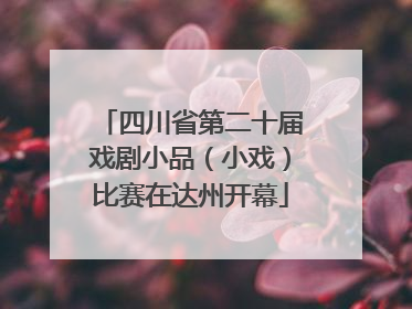 四川省第二十届戏剧小品（小戏）比赛在达州开幕