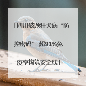 四川破题狂犬病“防控密码” 超91%免疫率构筑安全线
