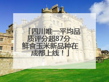 四川唯一平均品质评分超87分 鲜食玉米新品种在成都上线！