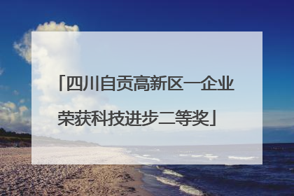 四川自贡高新区一企业荣获科技进步二等奖