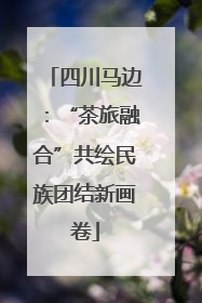 四川马边：“茶旅融合”共绘民族团结新画卷