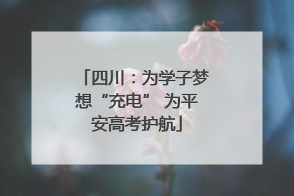 四川：为学子梦想“充电” 为平安高考护航