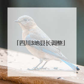 四川3地县长调整