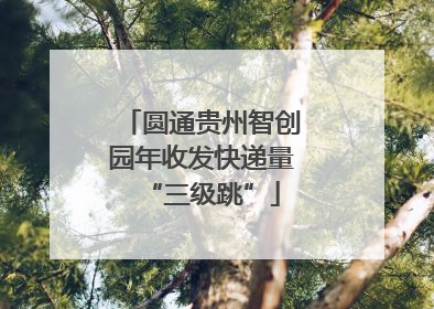 圆通贵州智创园年收发快递量“三级跳”