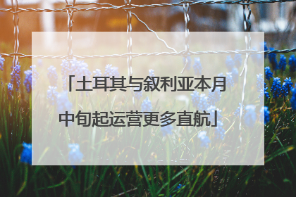 土耳其与叙利亚本月中旬起运营更多直航