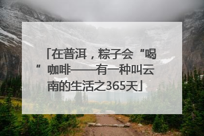 在普洱，粽子会“喝”咖啡——有一种叫云南的生活之365天