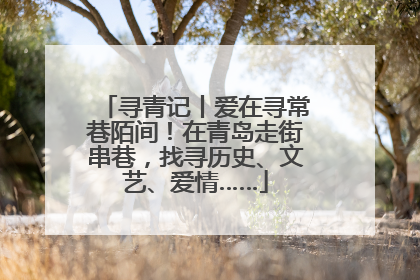 寻青记丨爱在寻常巷陌间！在青岛走街串巷，找寻历史、文艺、爱情……