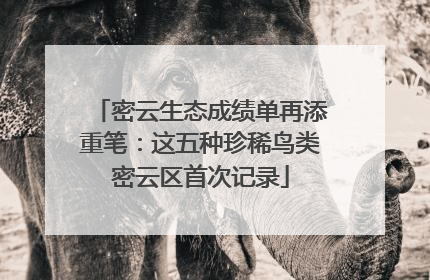 密云生态成绩单再添重笔：这五种珍稀鸟类密云区首次记录