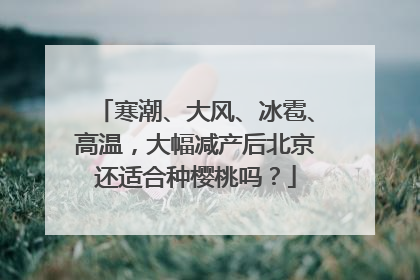 寒潮、大风、冰雹、高温，大幅减产后北京还适合种樱桃吗？