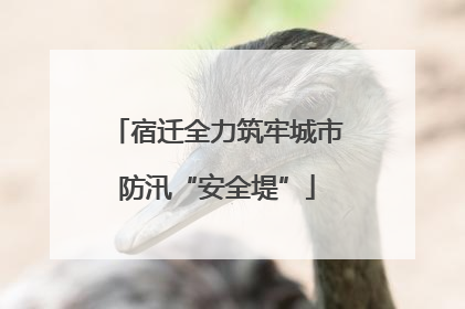 宿迁全力筑牢城市防汛“安全堤”
