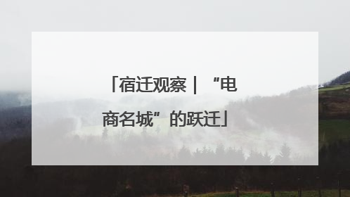 宿迁观察｜“电商名城”的跃迁