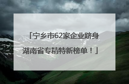 宁乡市62家企业跻身湖南省专精特新榜单！