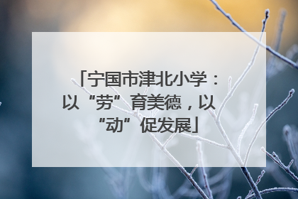 宁国市津北小学：以“劳”育美德，以“动”促发展